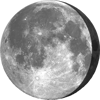 Forecast icon